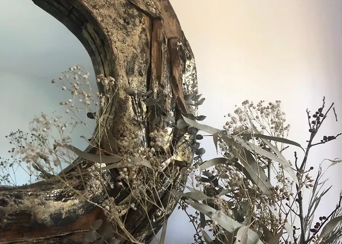 Hébergement de vacances Encantos De Orellana